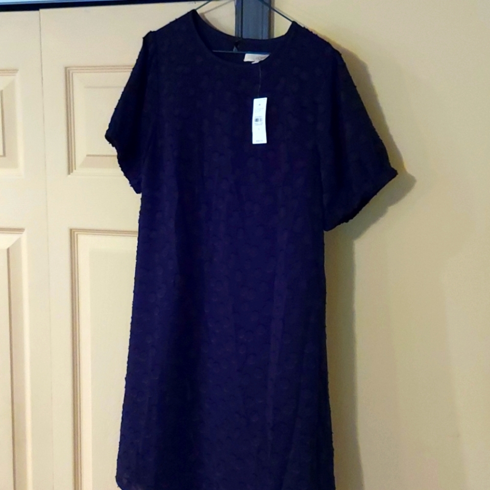 Loft black dress